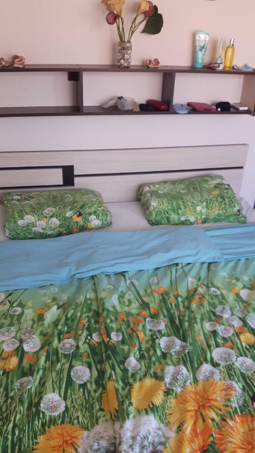 Hacienda Beach Apartment Mit Meerblick 索佐波尔 外观 照片